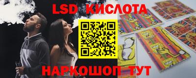дмт Краснодар