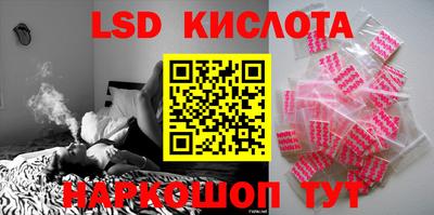 дмт Краснодар