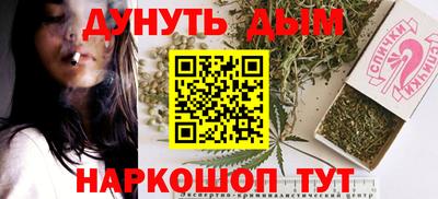 индика Краснознаменск