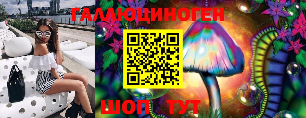 Галлюциногенные грибы Psilocybe Краснознаменск